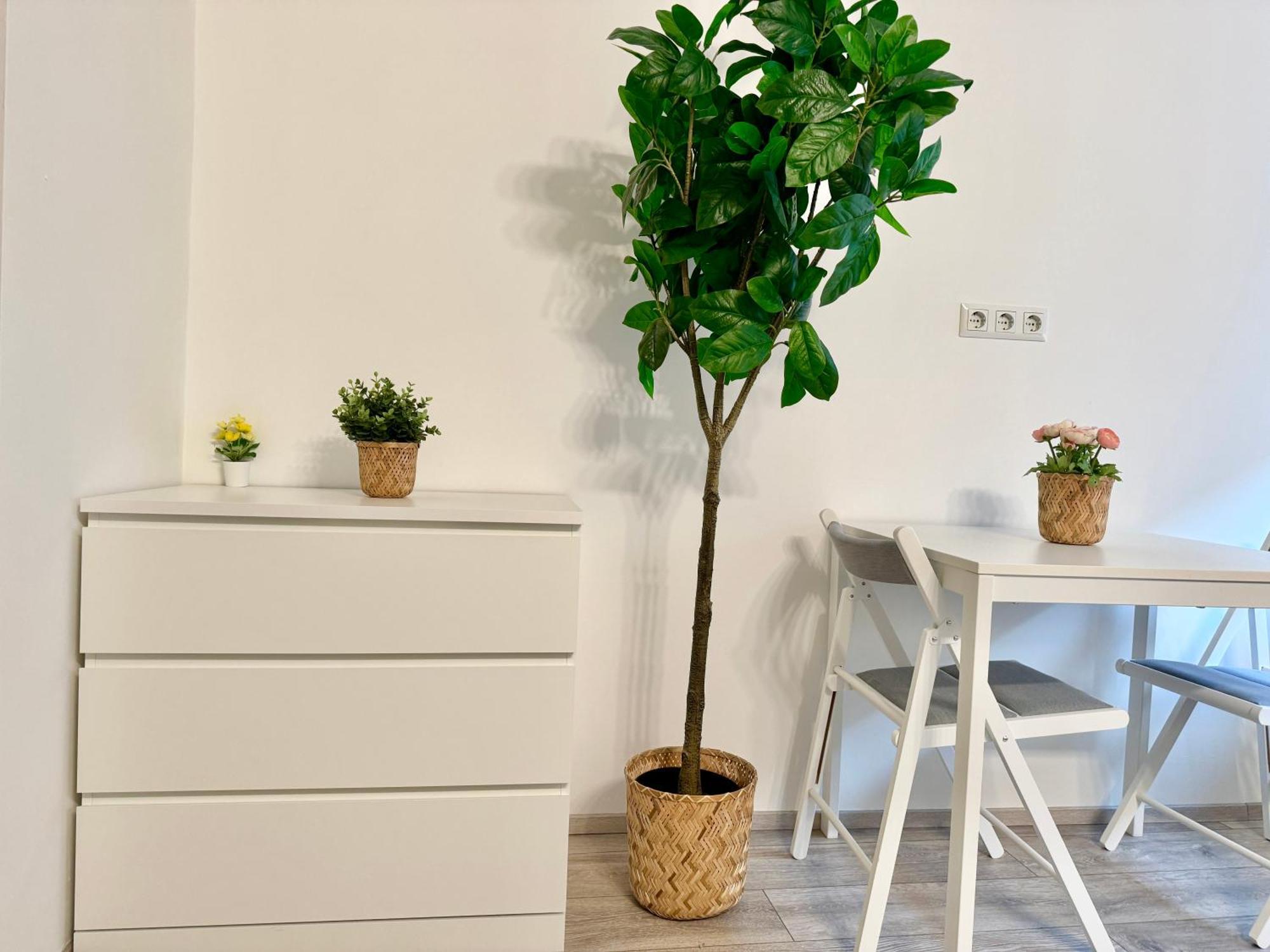 Stylish Schonbrunn Apartments With Free Parking 维也纳 外观 照片