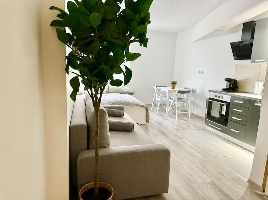 Stylish Schonbrunn Apartments With Free Parking 维也纳 外观 照片
